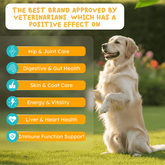 Multivitamin for dogs and cats daily nutrition support