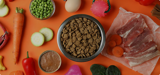 The Ultimate Guide to Pet Nutrition: What Every Dog Parent Should Know