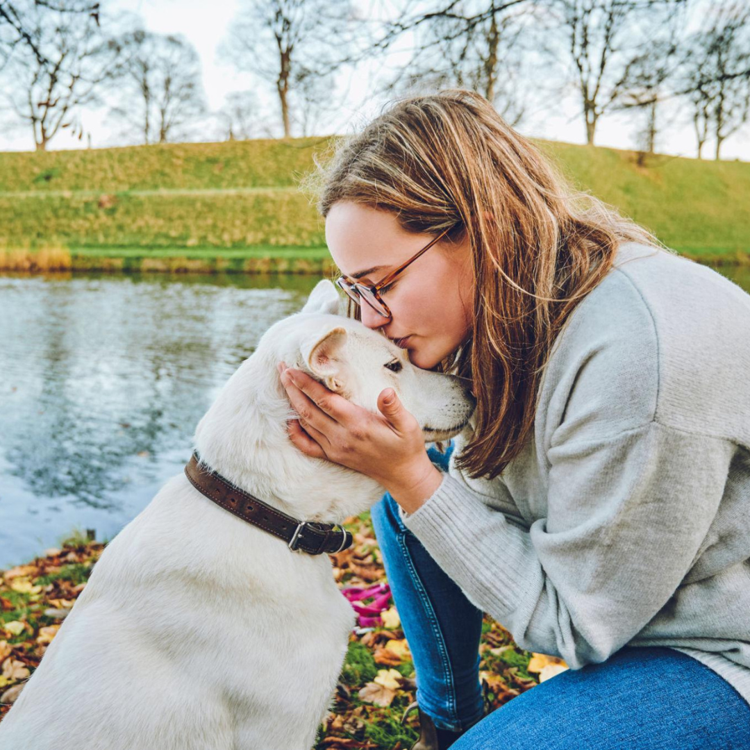 dog and cat supplements