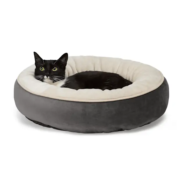 Cat Pawsito Store