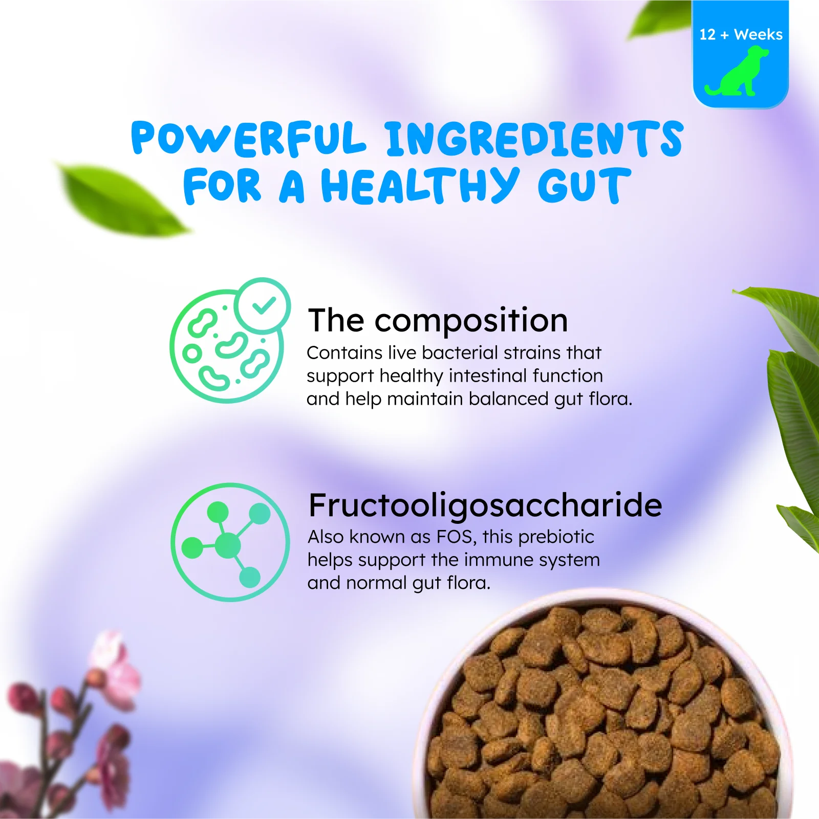 Probiotics: Happy Gut, Happy Dog