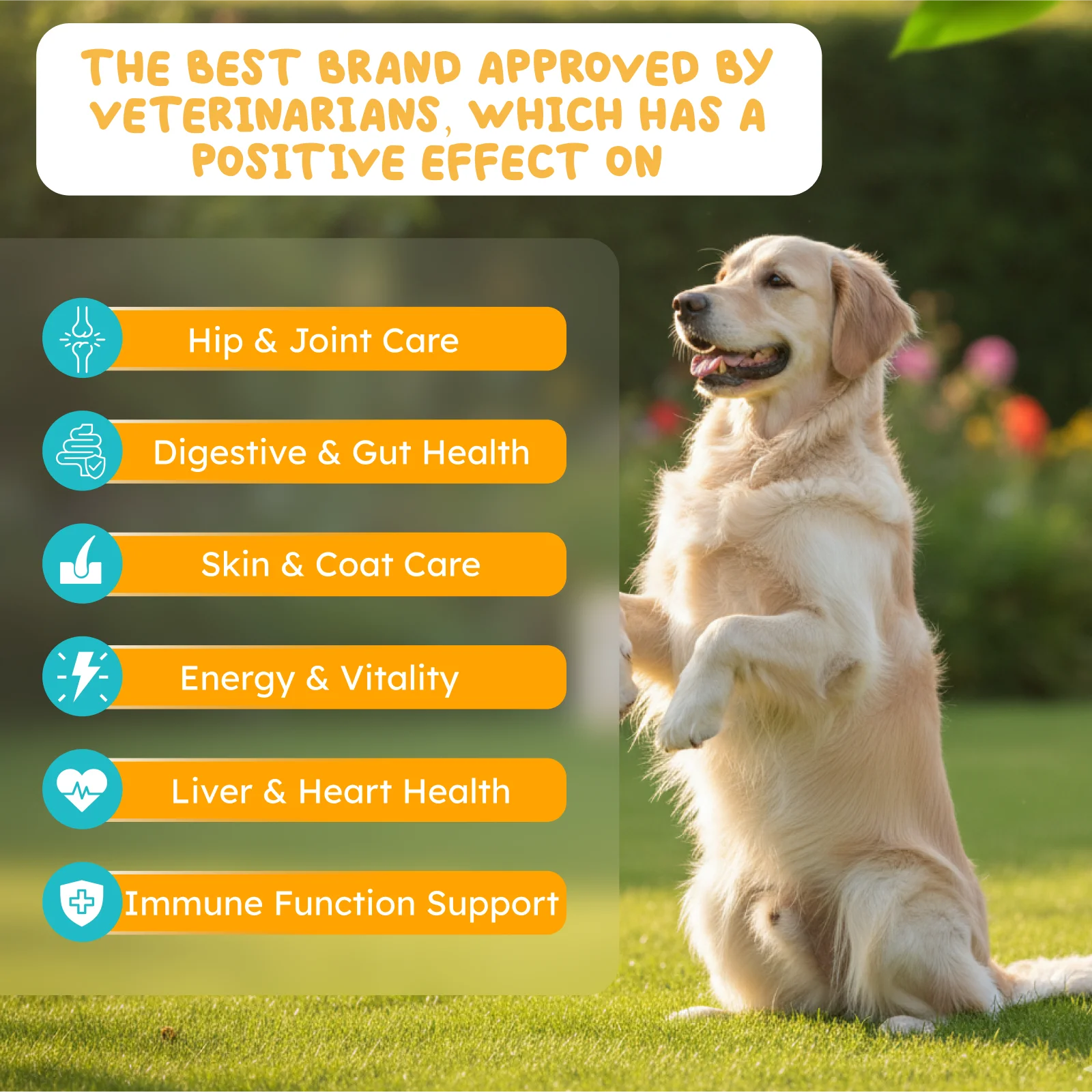 Multivitamin 25-in-1: Complete Daily Nutrition for a Healthier, Happier Dog