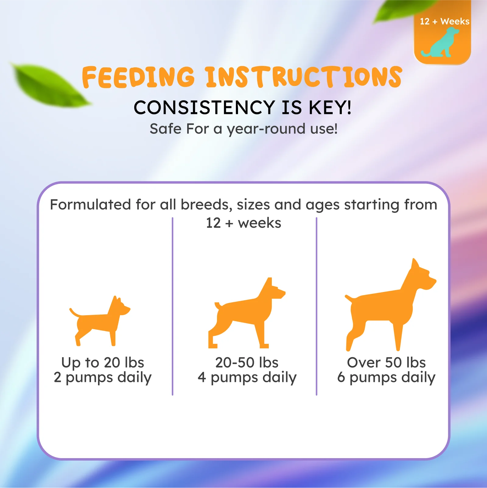 Salmon Oil Omega-3 Supplement: Shiny Coat, Healthy Heart, Strong Immune System
