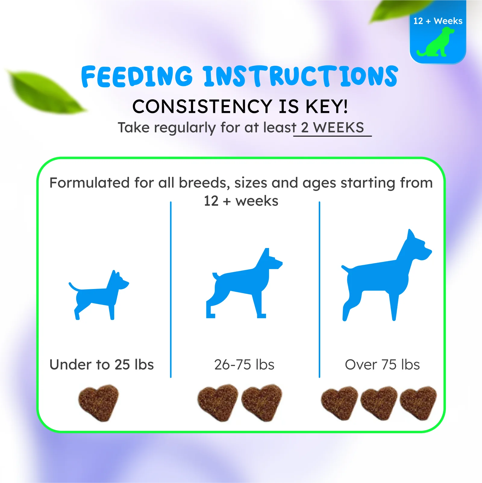 Probiotics: Happy Gut, Happy Dog