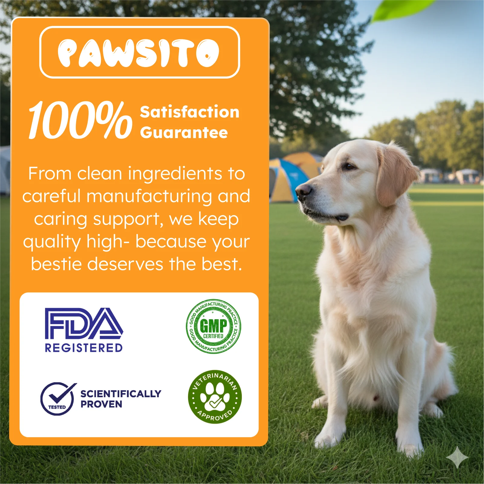 Salmon Oil Omega-3 Supplement: Shiny Coat, Healthy Heart, Strong Immune System