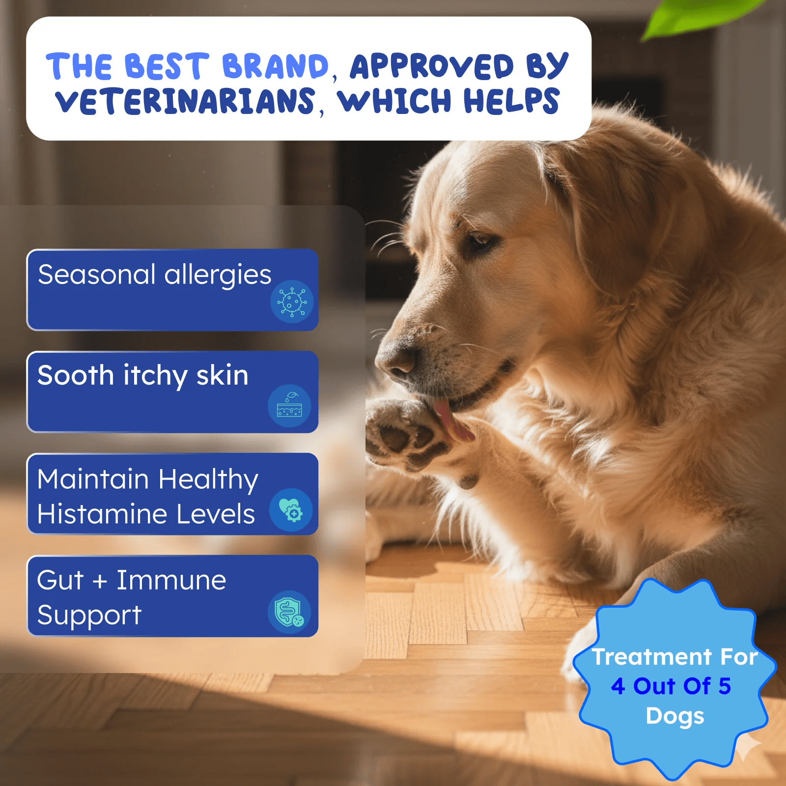 Allergy support for dogs and cats supplement bottle