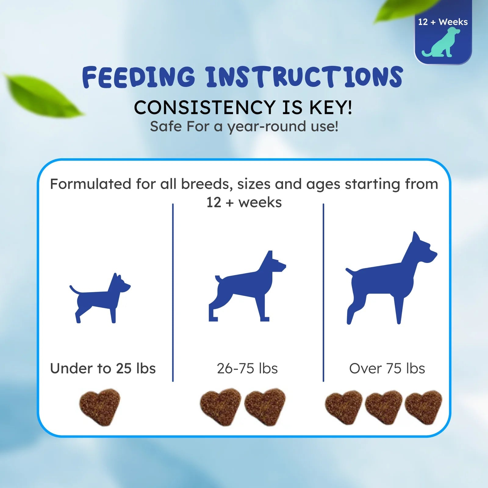 Allergy support for dogs and cats skin and coat support