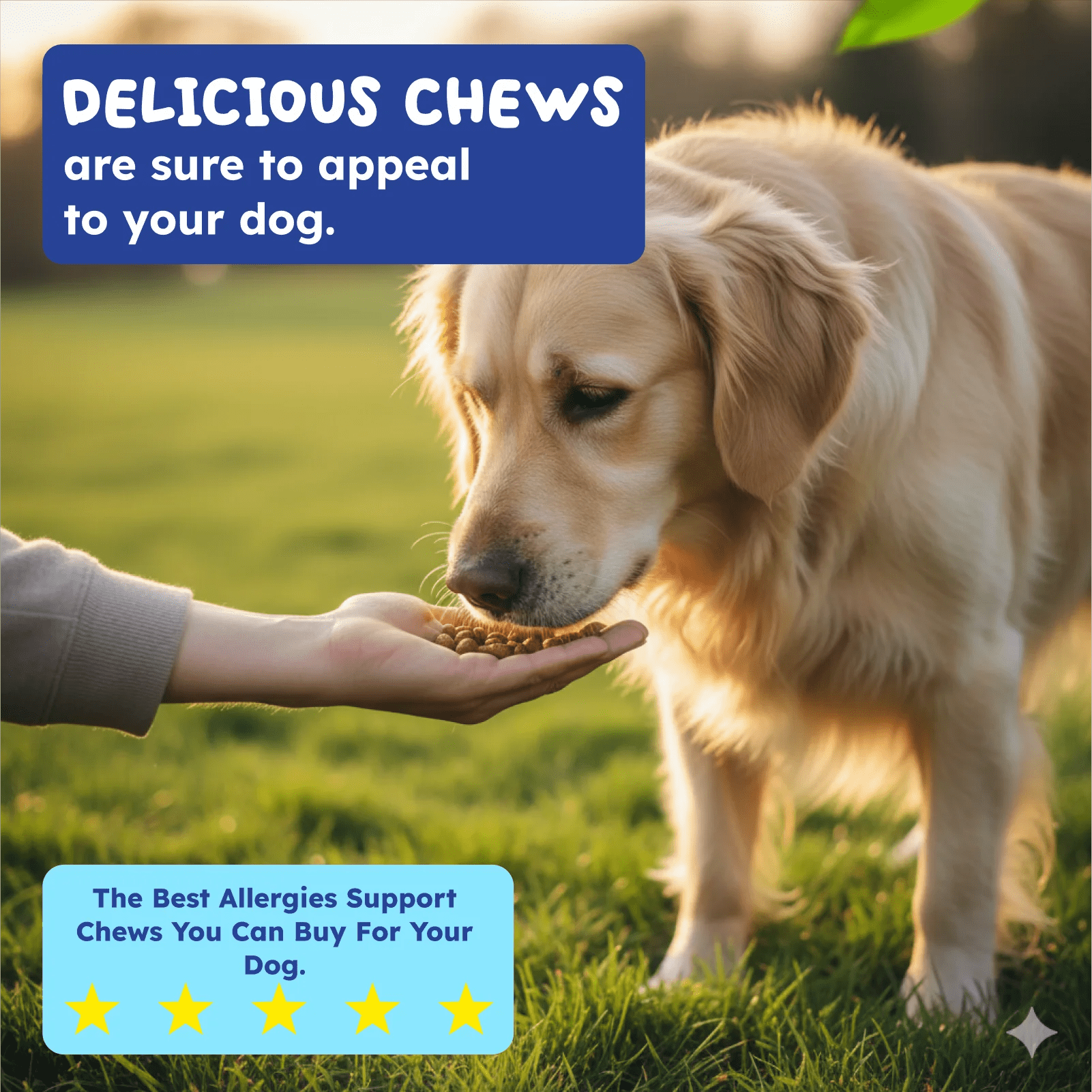 Natural allergy support for dogs and cats daily wellness