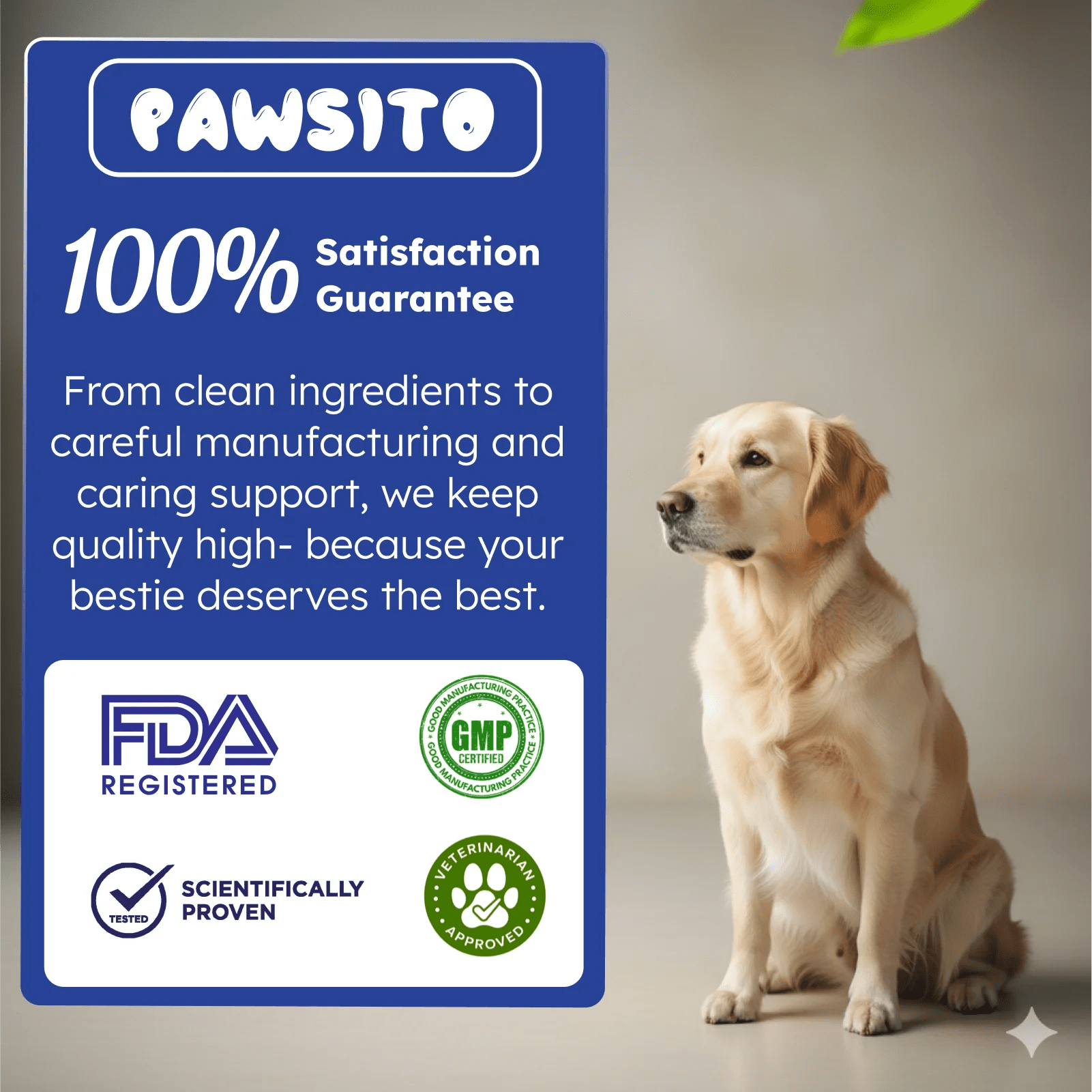 Allergy support for dogs and cats skin and immune formula