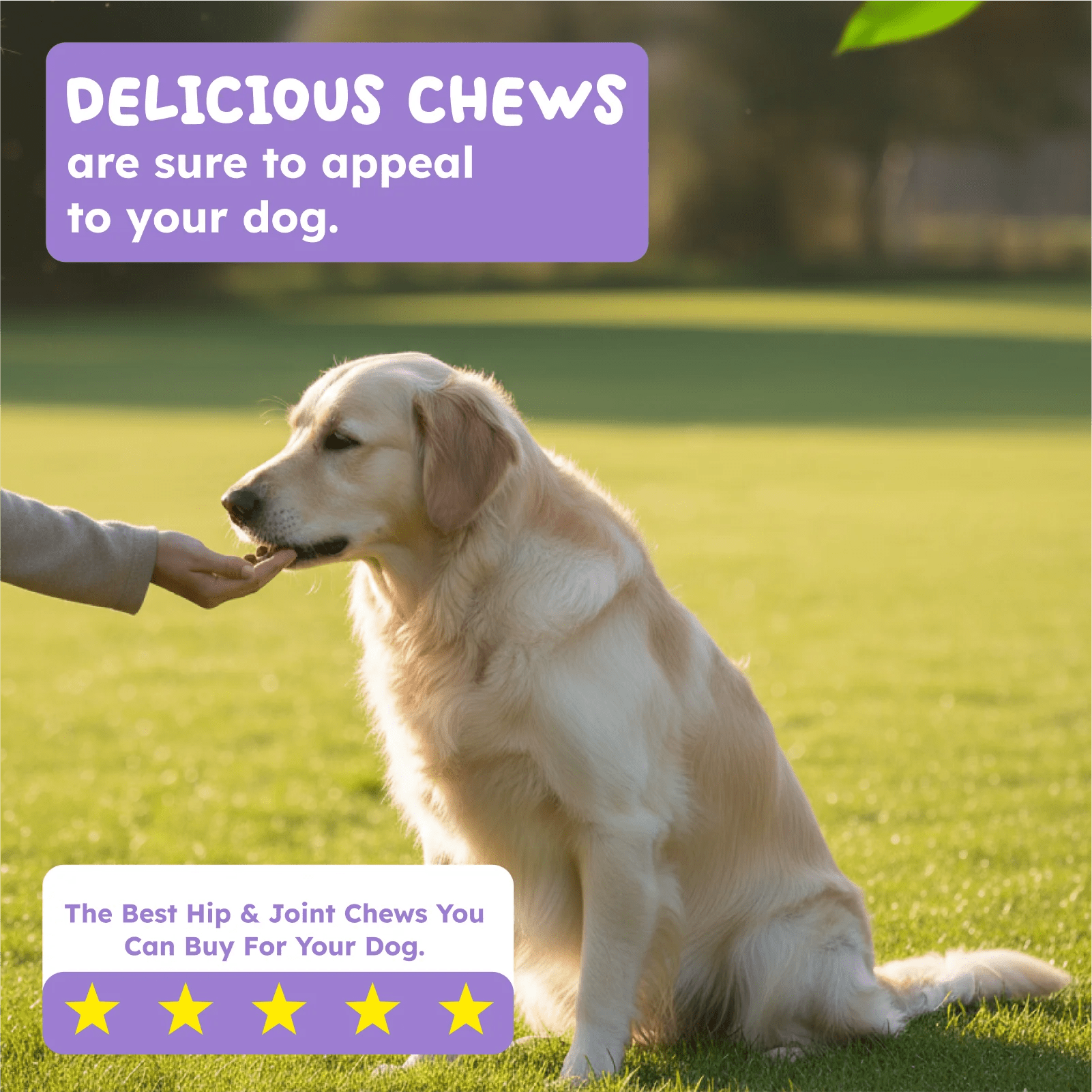 Natural hip and joint support for dogs and cats daily wellness