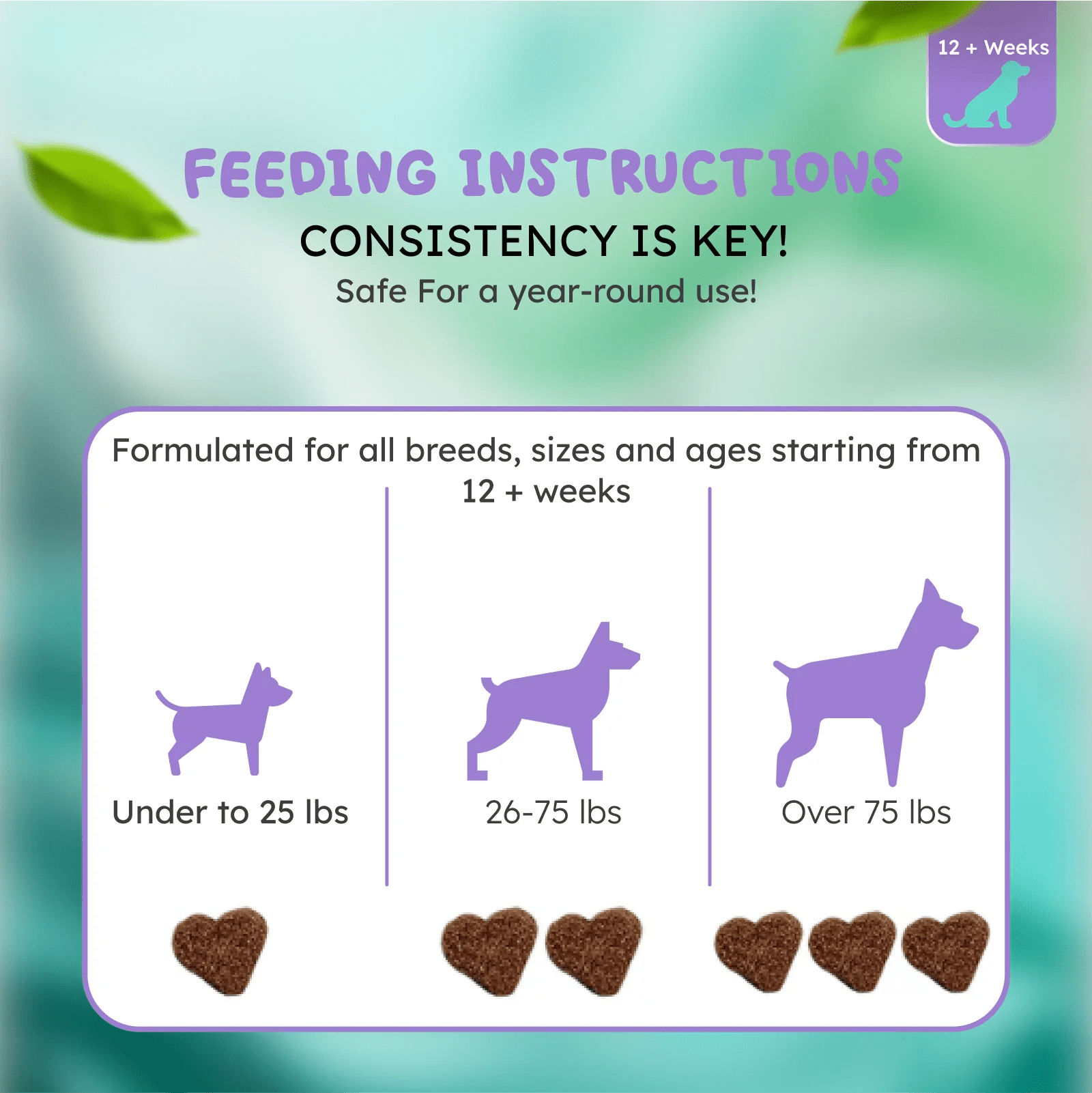 Hip and joint support for dogs and cats flexibility support