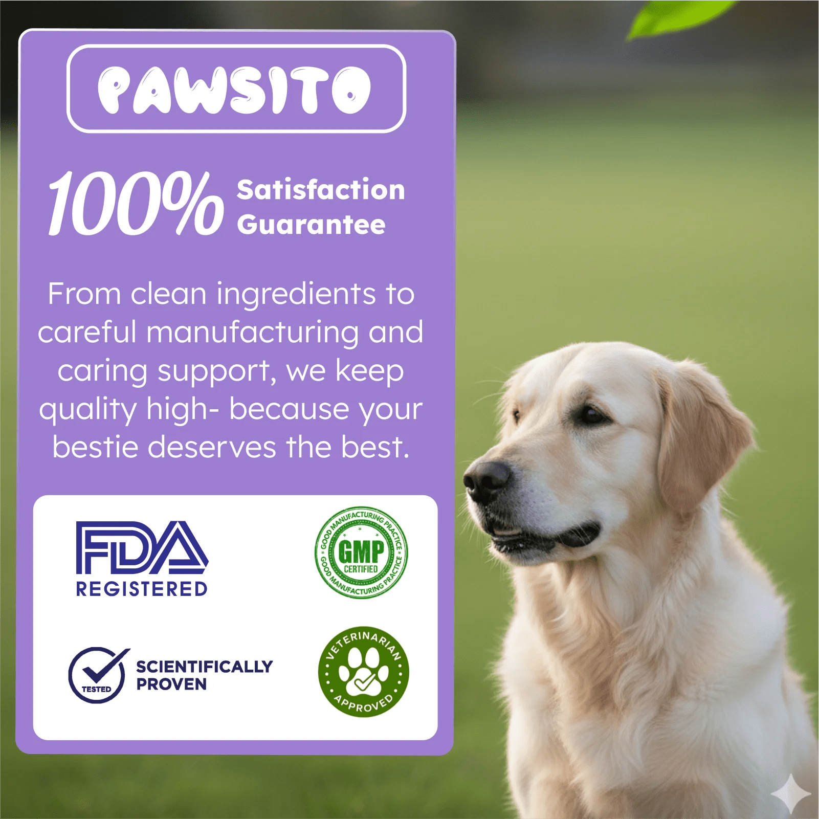 Hip and joint support for dogs and cats joint care formula