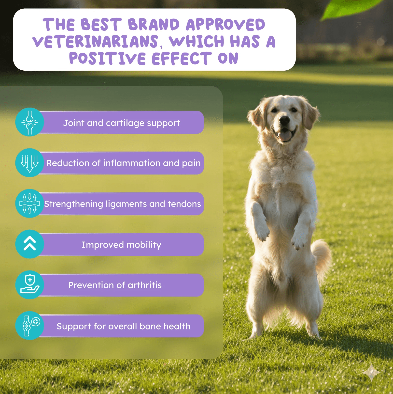 Hip and joint support for dogs and cats supplement bottle