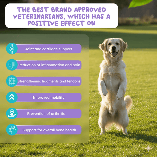 Hip and joint support for dogs and cats mobility support
