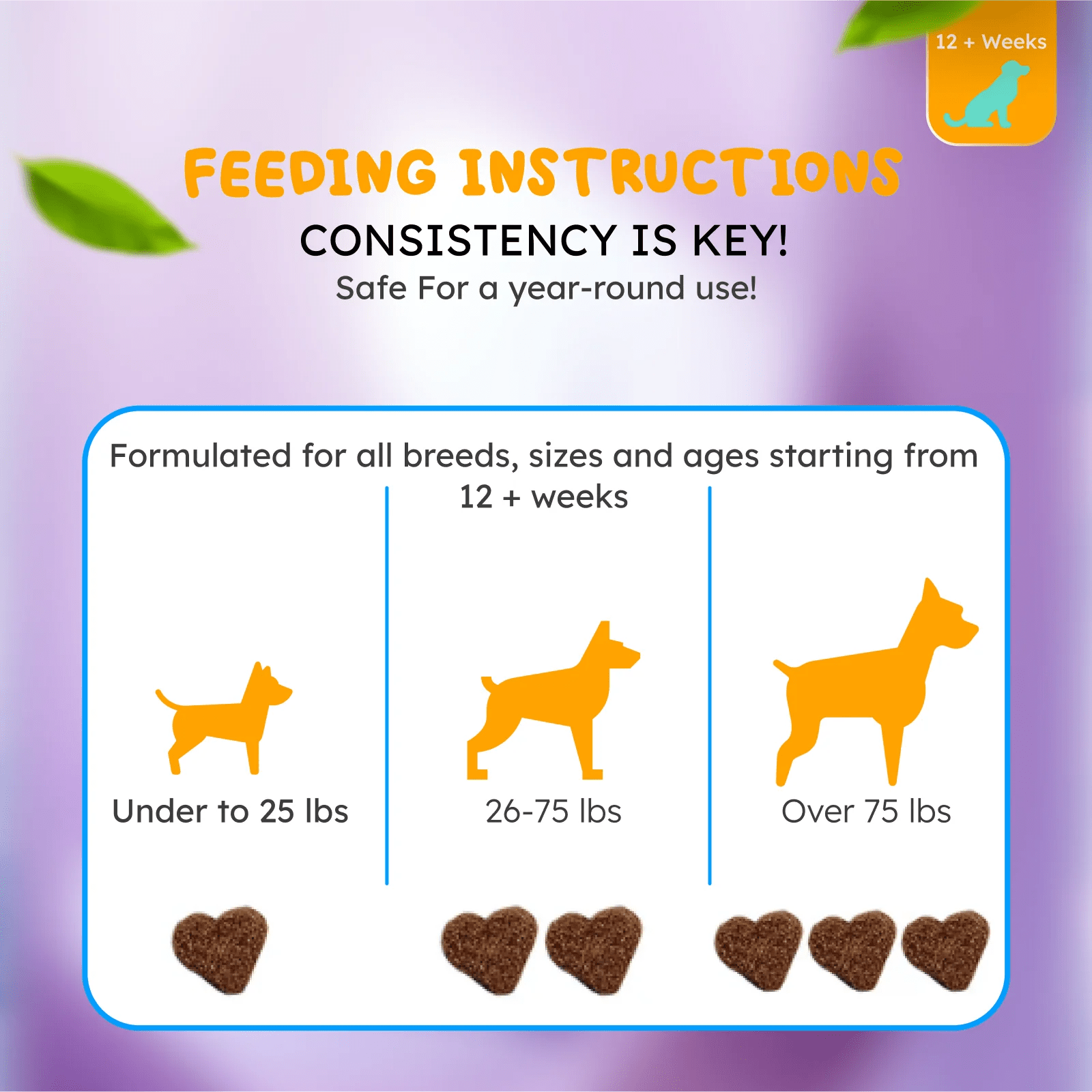 Multivitamin for dogs and cats overall health support