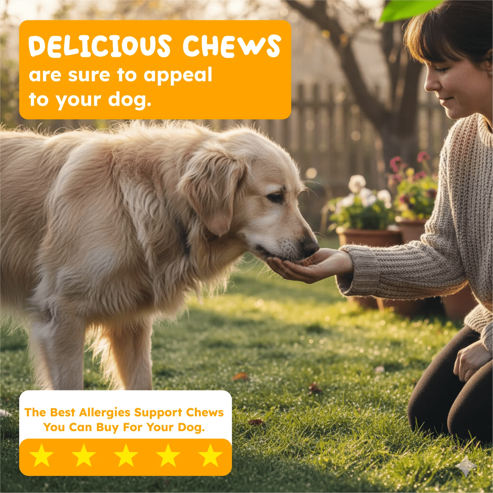 Natural multivitamin for dogs and cats daily wellness