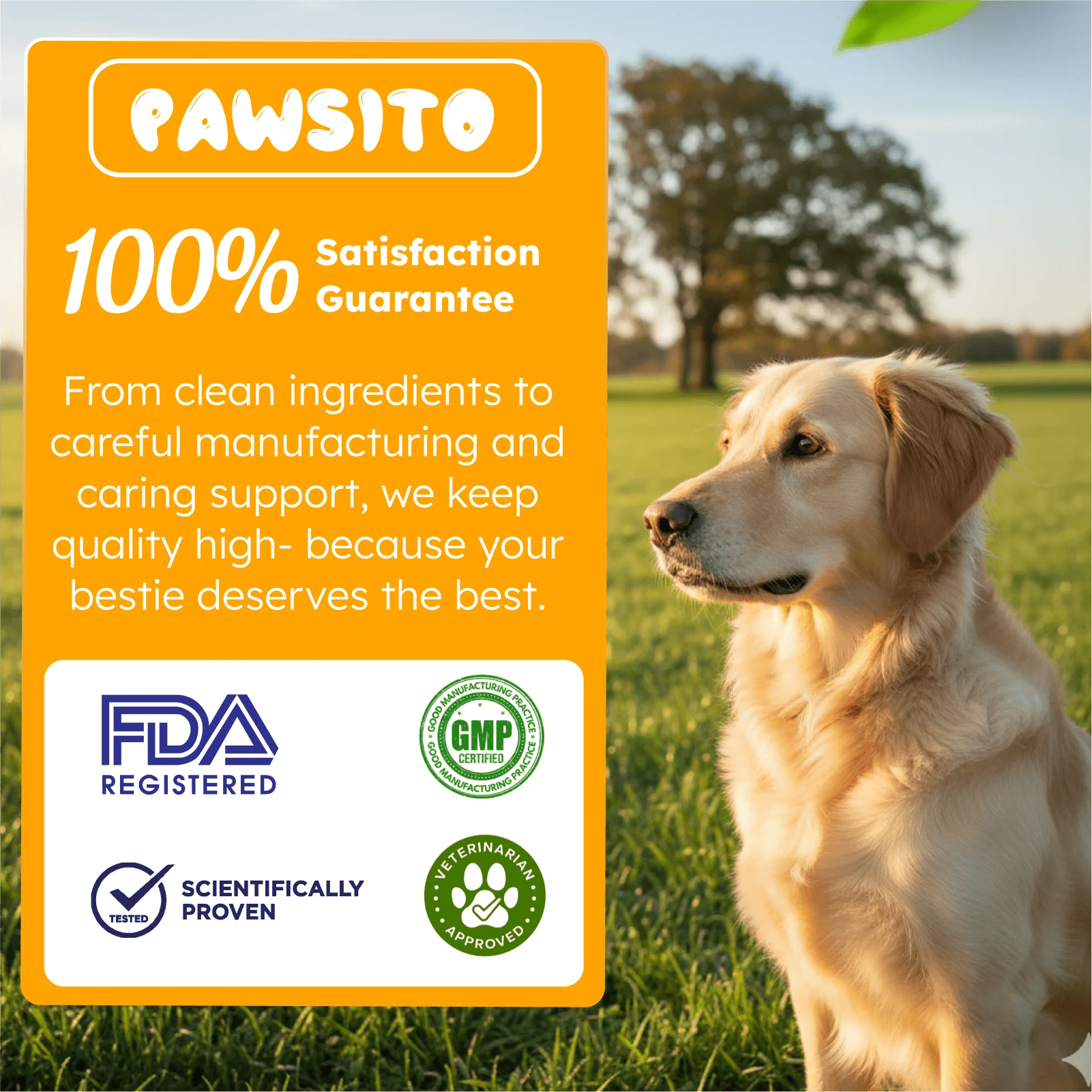 Natural multivitamin for dogs and cats daily health support