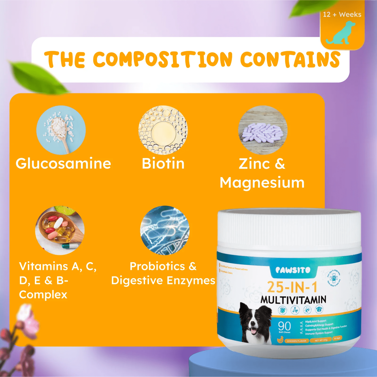 Multivitamin for dogs and cats immune wellness formula