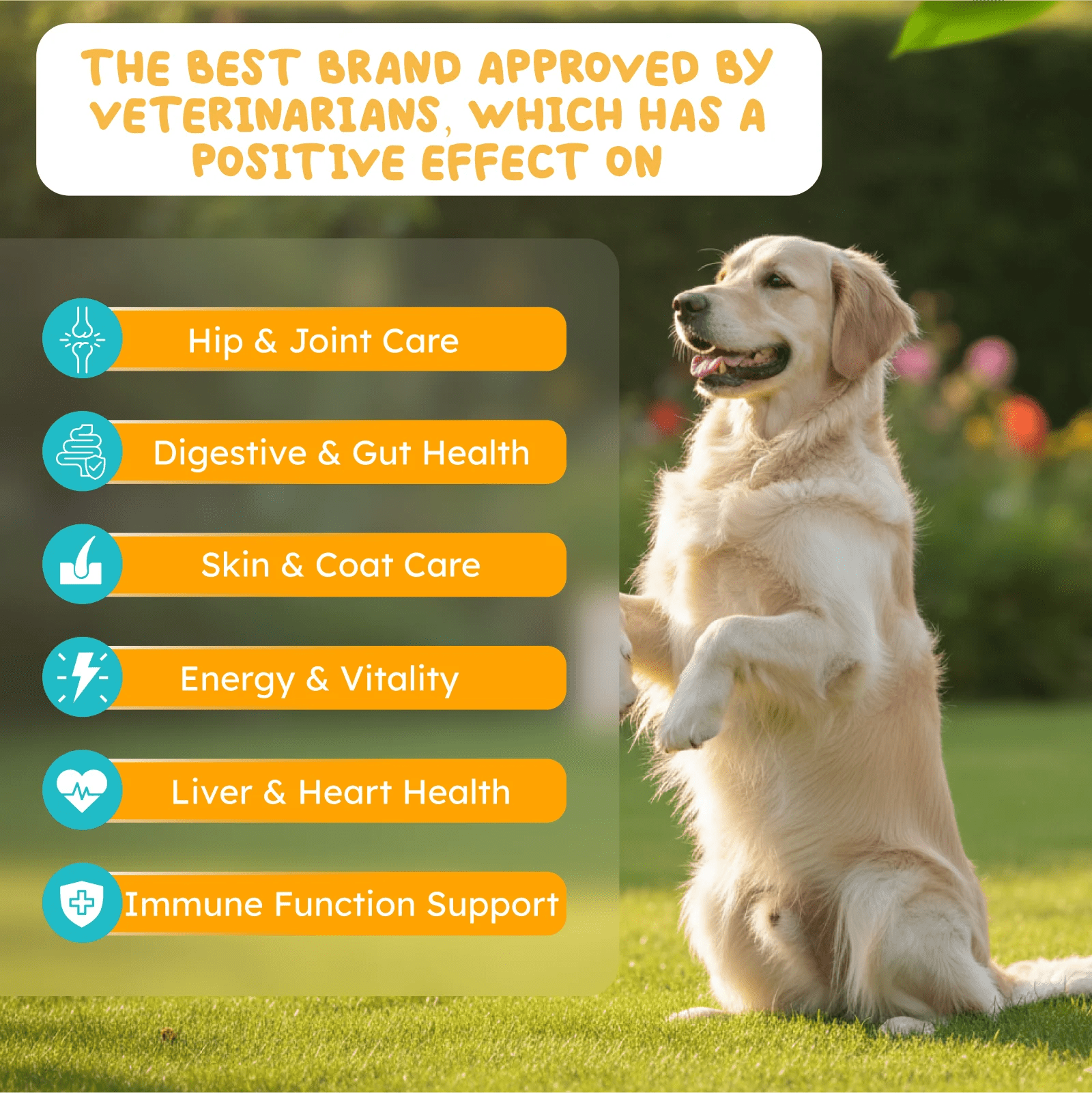 Multivitamin for dogs and cats supplement bottle