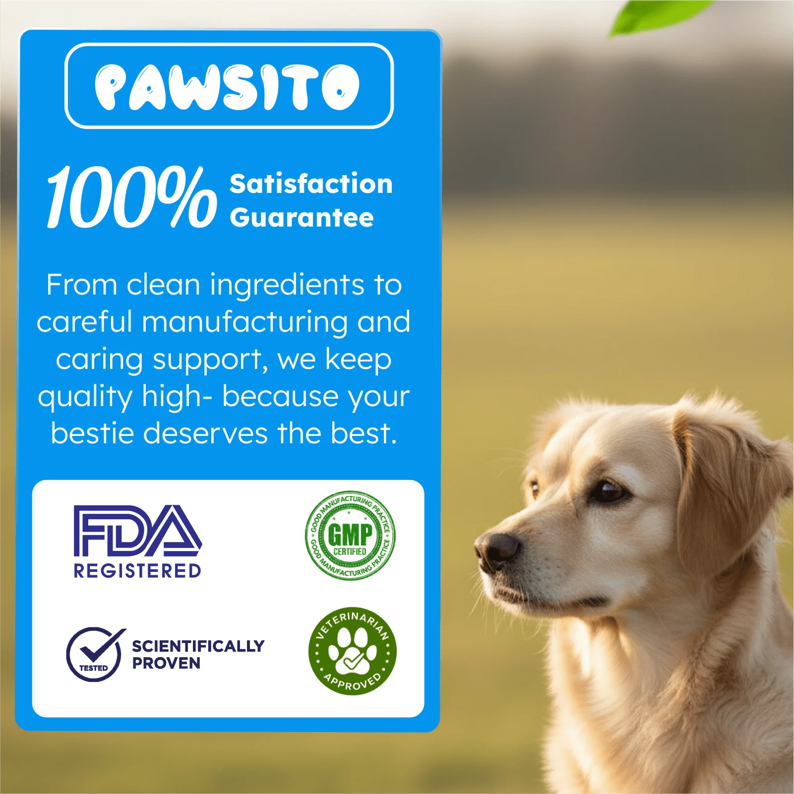 Probiotics for dogs and cats immune and gut support
