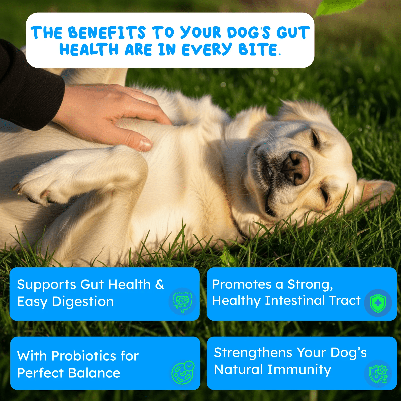 Probiotics for dogs and cats supplement bottle