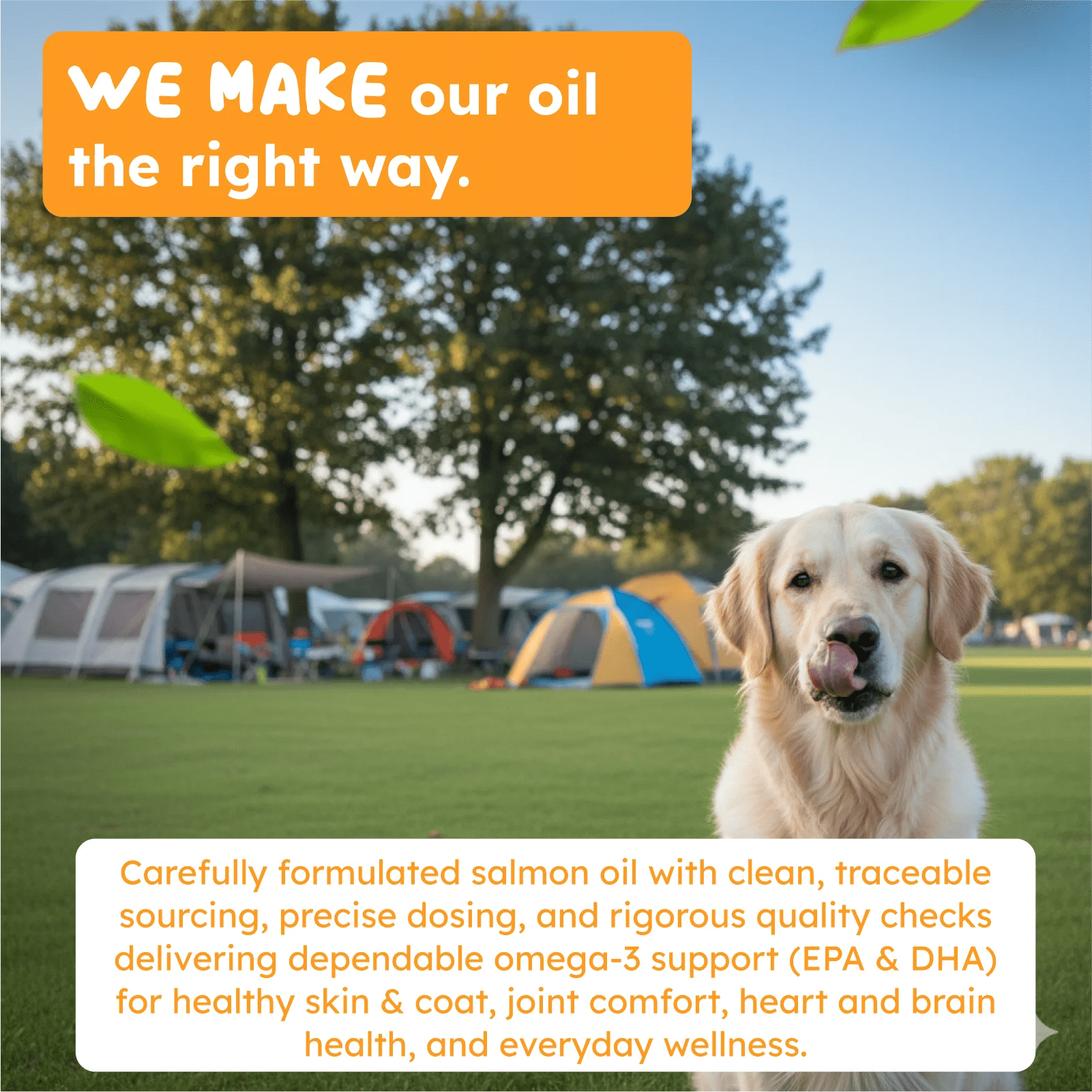 Salmon oil for dogs and cats outdoor wellness support