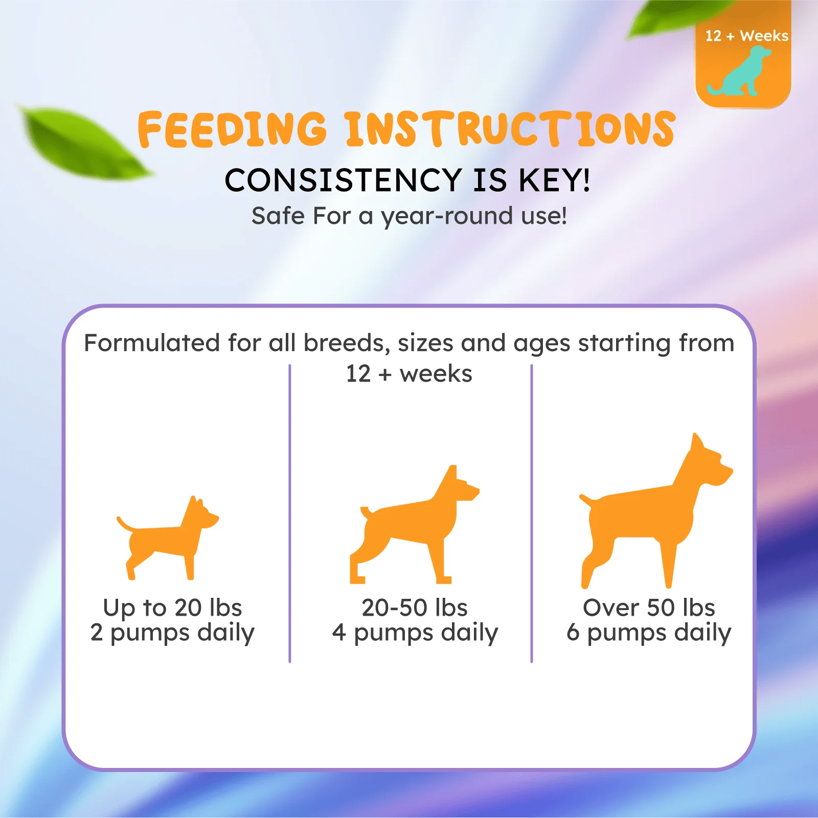 Salmon oil for dogs and cats for healthy skin and shiny coat