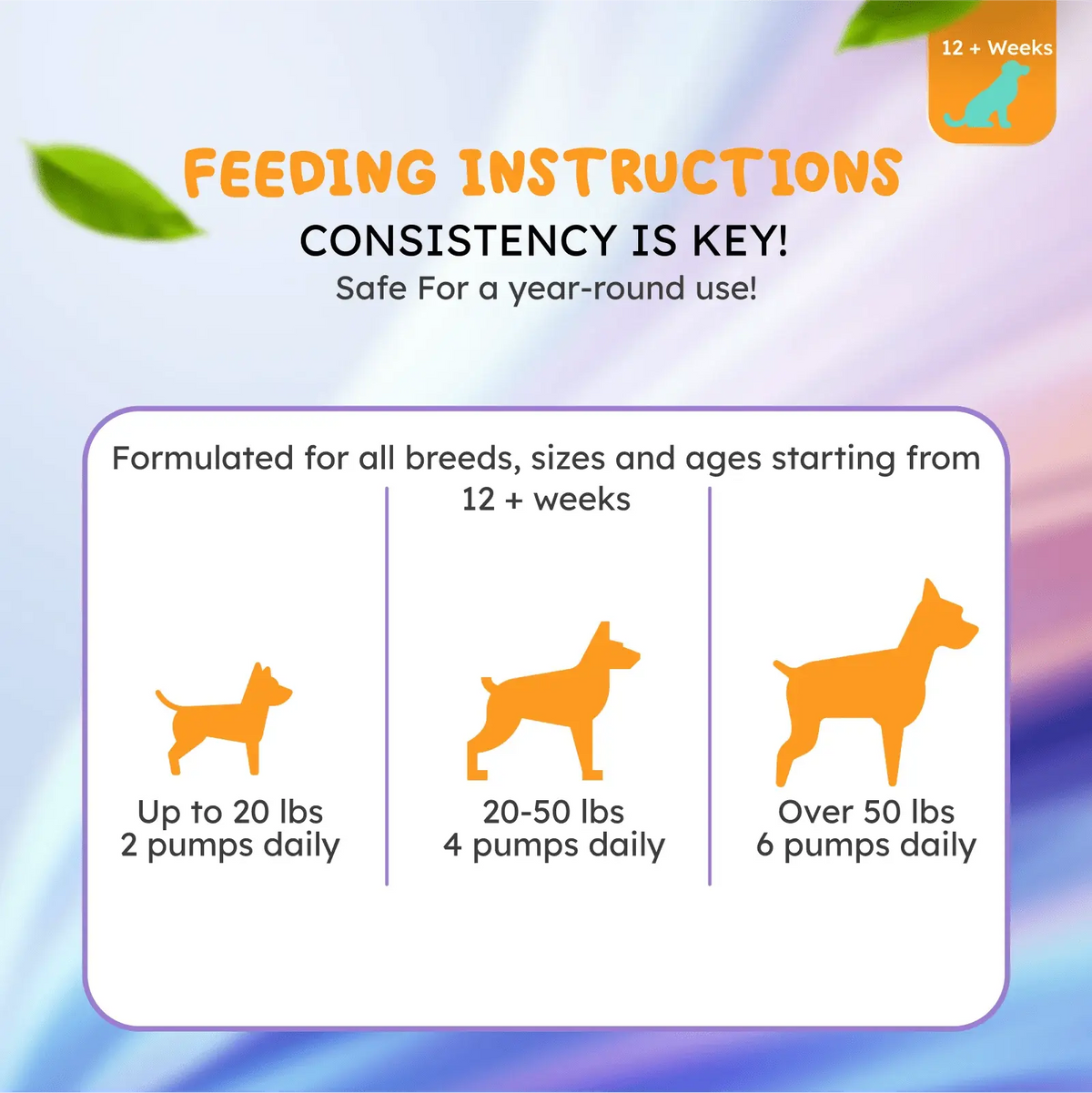 Salmon oil for dogs and cats for healthy skin and shiny coat