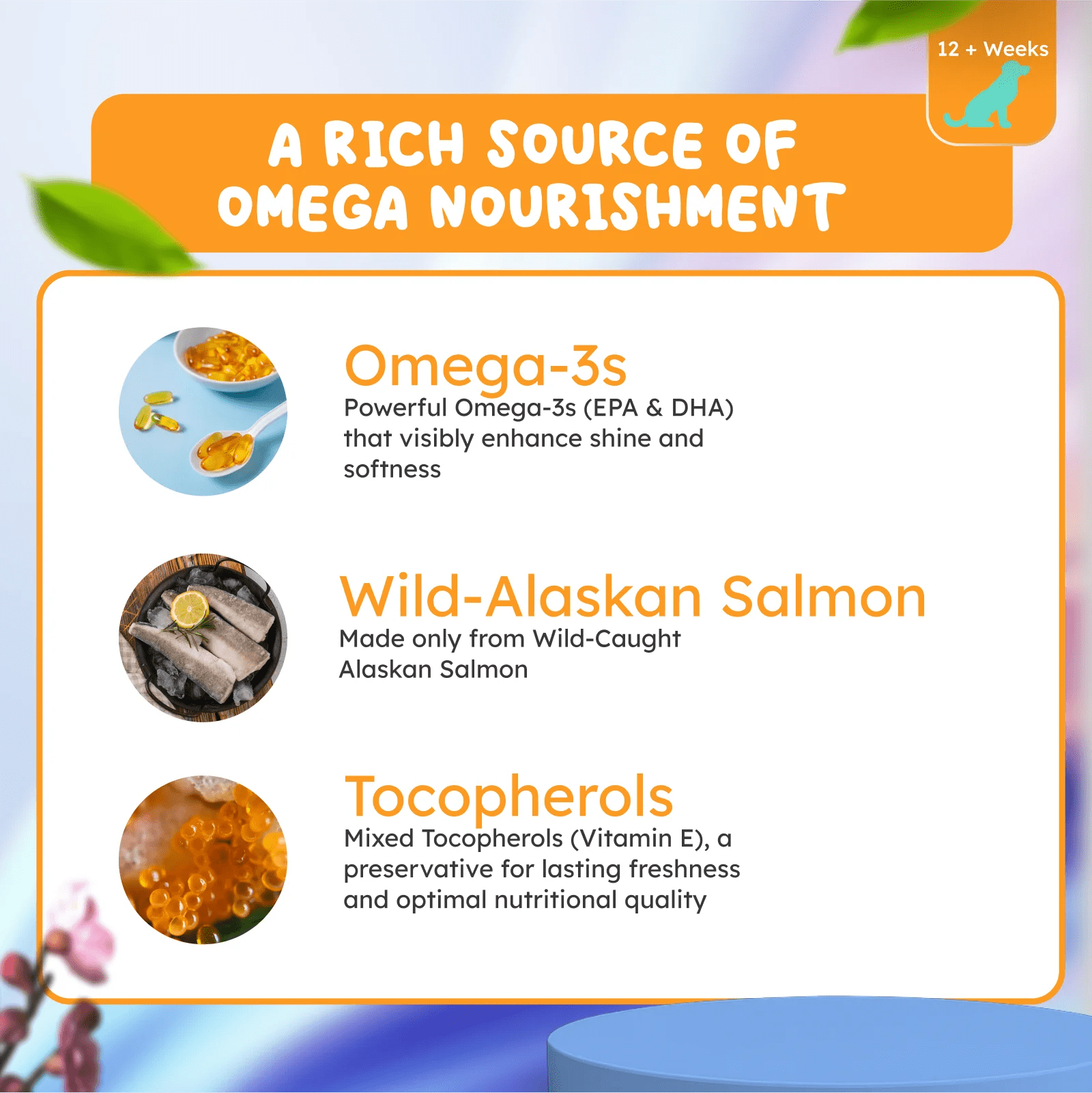 Omega-3 salmon oil for dogs and cats