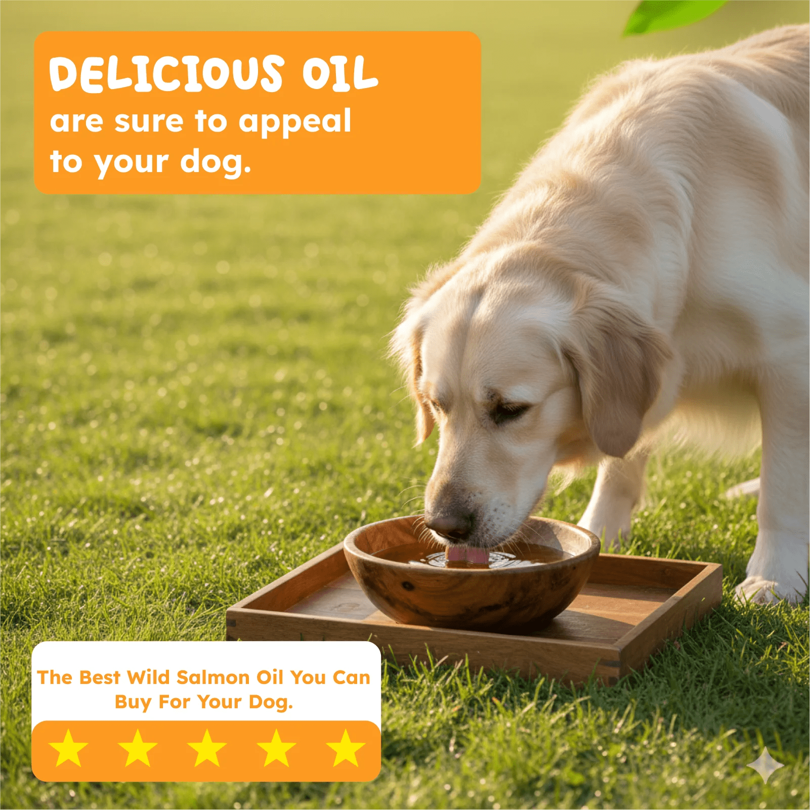 Salmon oil for dogs and cats daily wellness support