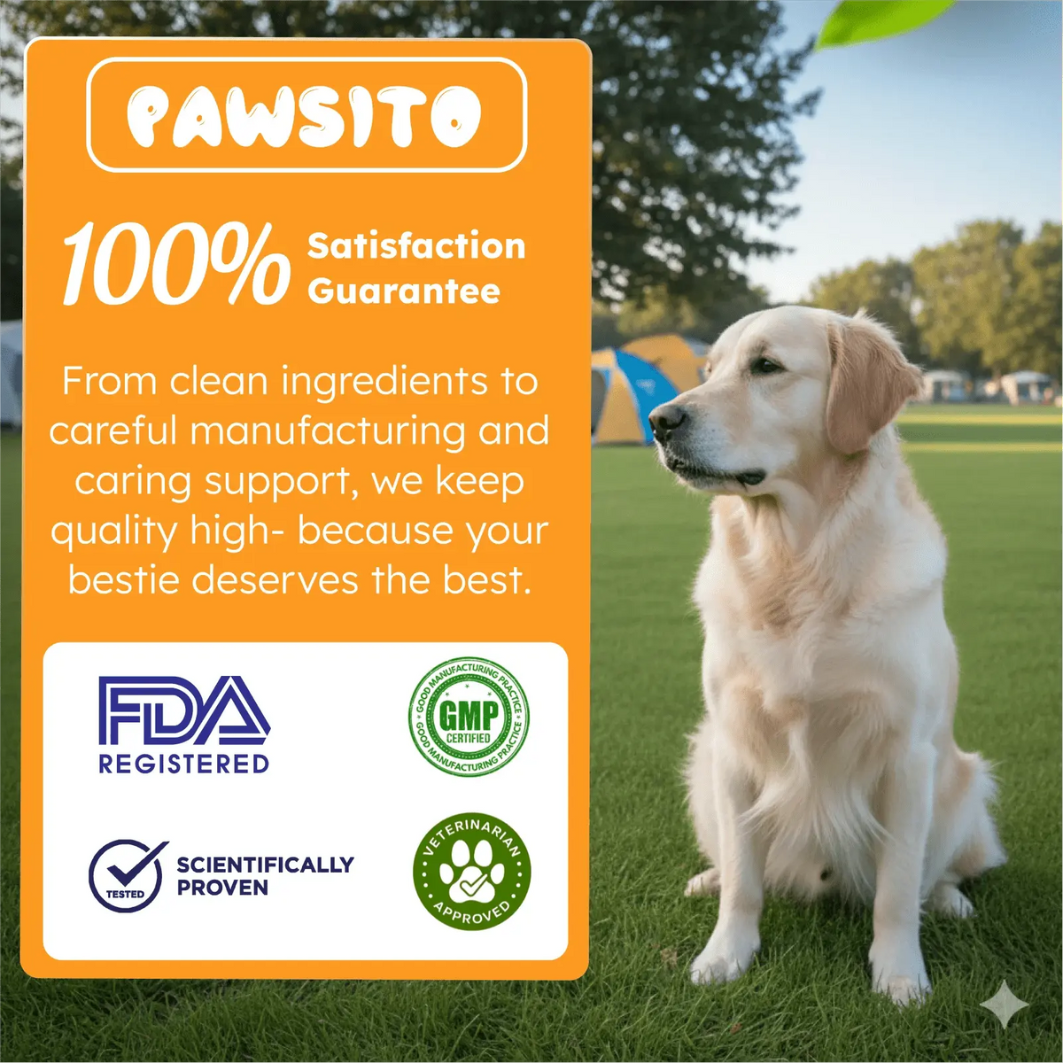 Salmon oil for dogs and cats Omega-3 benefits
